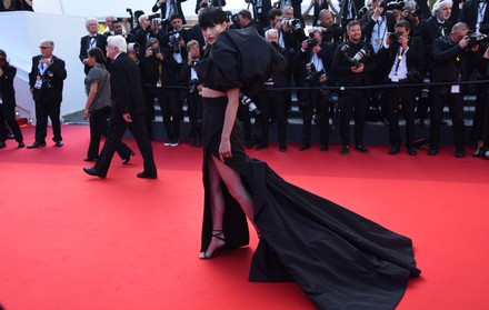 "Armageddon Time" Red Carpet - The 75th Annual Cannes Film Festival, Cannes, France - 19 May 2022