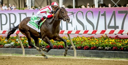 Horse Racing Preakness Stakes Day, Baltimore, USA - 21 May 2022