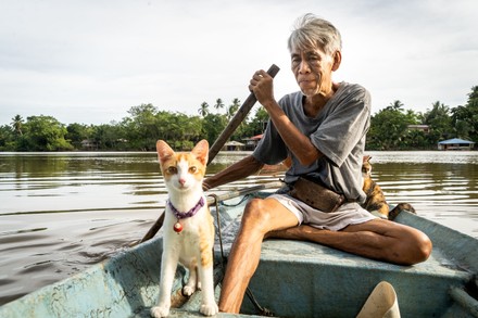 cat fishing in a river while in a boat illustrated by