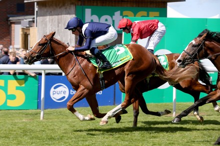 Horse racing, Beverley Races - 28 May 2022