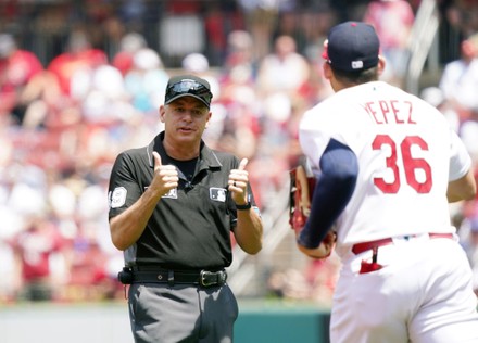 St Louis Cardinals Catcher Andrew Knizner Editorial Stock Photo - Stock  Image