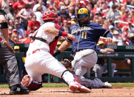 St Louis Cardinals Catcher Andrew Knizner Editorial Stock Photo - Stock  Image