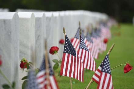 250 South florida cemetery Stock Pictures, Editorial Images and Stock ...