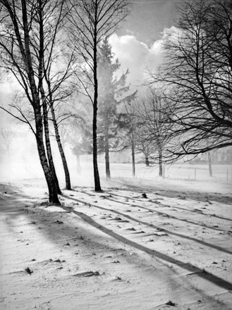 14 1930s snow storm Stock Pictures, Editorial Images and Stock Photos ...