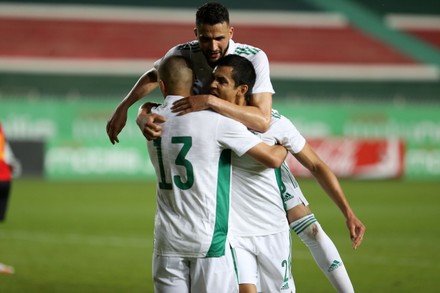 Algerian Players Celebrate After Scoring During Editorial Stock Photo ...