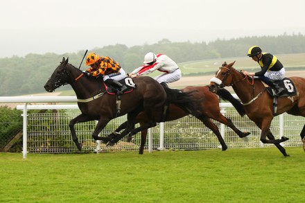Horse Racing - 05 Jun 2022