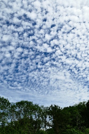 Cirrocumulus Clouds Form On Hot Afternoon Editorial Stock Photo - Stock ...