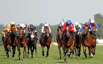 Horse Racing - 17 Jun 2022