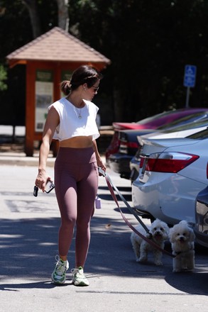 Lucy Hale walking the dogs, Los Angeles, California, USA - 17 Jun 2022
