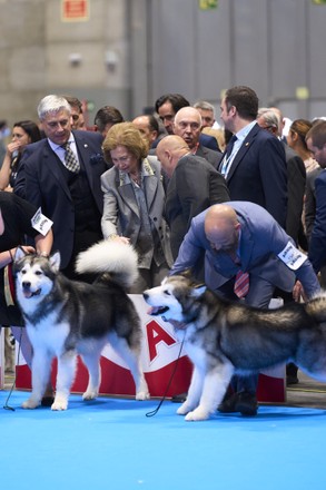 Queen Sofia attends the opening of the World Dog Show trade fair, Madrid, Spain - 24 Jun 2022