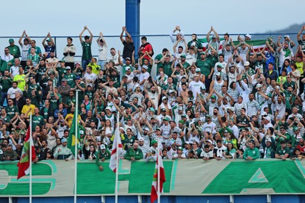 Brazilian Championship 2022 - Avai vs Palmeiras, Florianopolis, Santa Catarina, Brazil - 26 Jun 2022