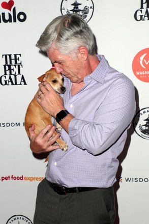 Wagmor Pets 1st Annual 'THE PET GALA', Los Angeles, California, USA - 27 Jun 2022