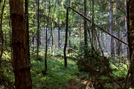 Bialowieza Wilderness In Poland Cut By Border Barrier - 01 Jul 2022