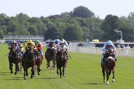 Horse Racing, York Races - 08 Jul 2022