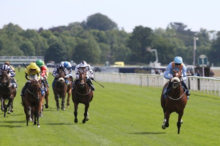 Horse Racing, York Races - 08 Jul 2022