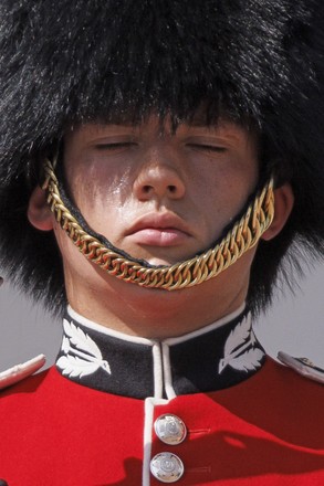 Traditional Bearskin Hat Editorial 