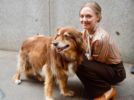 Amanda Seyfried Seen Film Set Crowded Editorial Stock Photo - Stock