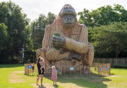 People View Giant Interactive Gorilla Sculpture Editorial Stock Photo ...