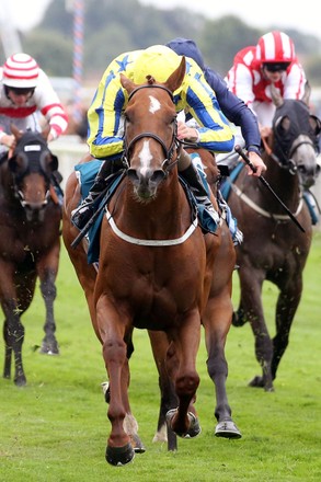 Horse Racing, York Races - 22 Jul 2022