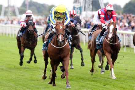 Horse Racing, York Races - 22 Jul 2022
