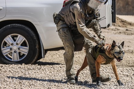 Eurosatory 2022 - GIGN Demonstration, France - 12 Jun 2022 Stock ...