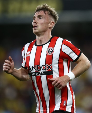 Fulham Players Unhappy Referee Josh Smith Editorial Stock Photo