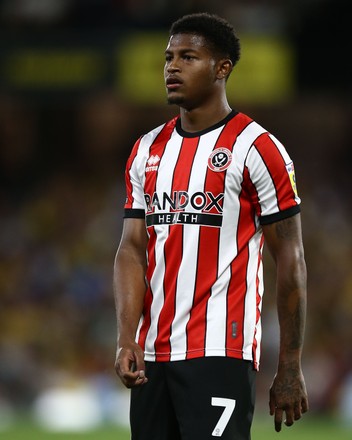 Fulham Players Unhappy Referee Josh Smith Editorial Stock Photo