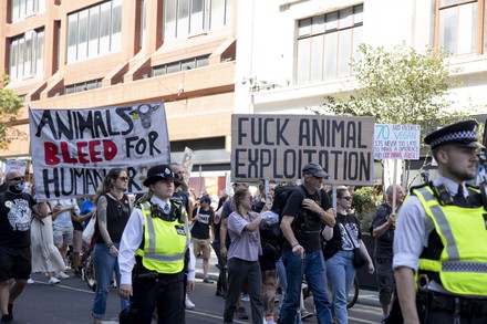 Activists Seen Holding Placards Banner Supporting Editorial Stock Photo ...