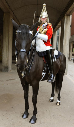 Corporal Horse Andy Radford Household Cavalry Editorial Stock Photo 