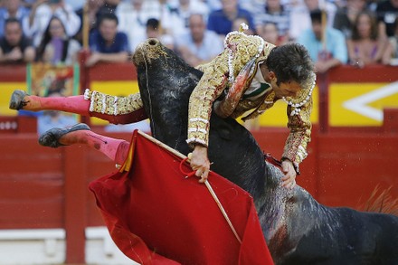 Artistic Spain’s Greatest Matador Gored By Bull In Comeback From Retirement Wallpaper Art Artistic Spain’s Greatest Matador Gored By Bull In Comeback From Retirement Wallpaper Art