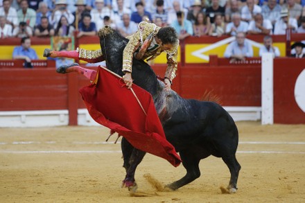 Vivid Spain’s Greatest Matador Gored By Bull In Comeback From Retirement Background Photography Vivid Spain’s Greatest Matador Gored By Bull In Comeback From Retirement Background Photography