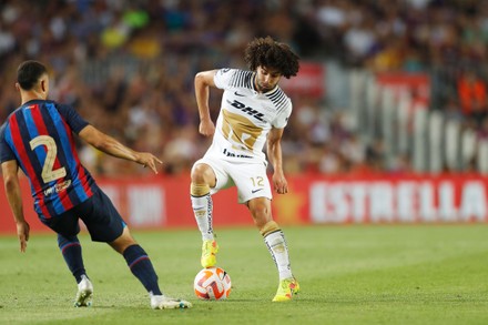 2,000 Pumas unam Stock Pictures, Editorial Images and Stock Photos
