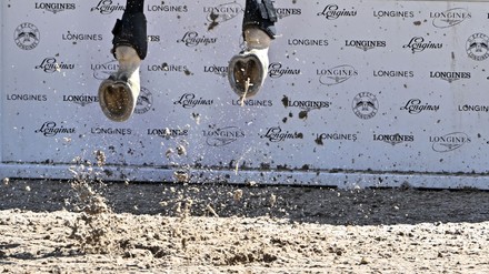 Horse Takes Off Longines Fence Rear Editorial Stock Photo Stock