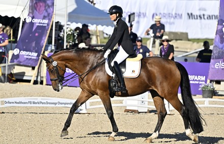 George Bel Riding Best 8 During Editorial Stock Photo - Stock Image ...