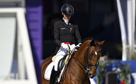 George Bel Riding Best 8 During Editorial Stock Photo - Stock Image ...