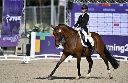 George Bel Riding Best 8 During Editorial Stock Photo - Stock Image ...