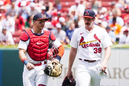 St Louis Cardinals Catcher Andrew Knizner Editorial Stock Photo - Stock  Image