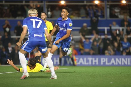 Captivating Birmingham City V Watford: Championship Live Text, Stats & Head-to-head Image Digital Art Captivating Birmingham City V Watford: Championship Live Text, Stats & Head-to-head Image Digital Art