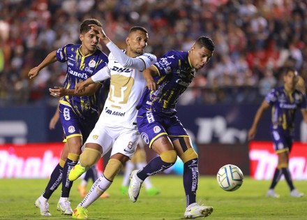 2,000 Pumas unam Stock Pictures, Editorial Images and Stock Photos