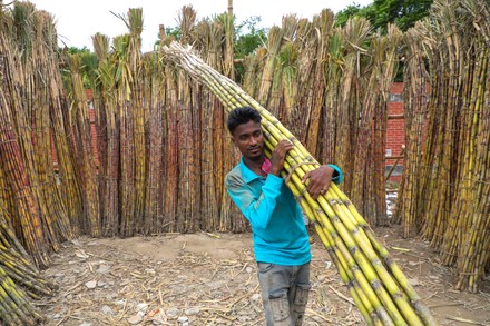 250 Sugarcane market Stock Pictures, Editorial Images and Stock Photos ...