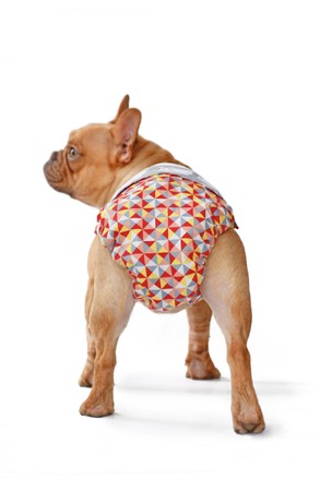 Fabric Period Diaper Pants Protection On Editorial Stock Photo