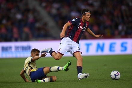 Bologna V Hellas Verona, Serie A Football Match, Renato Dall Ara ...