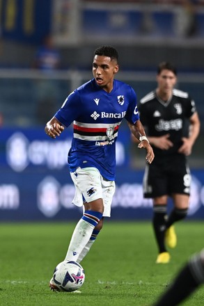 Sampdoria V Juventus, Serie A Football Match, Luigi Ferraris Stadium ...