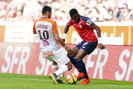 __COUNT__ Ligue 1 - Lille V Montpellier, France - 17 Feb 2019 Stock ...