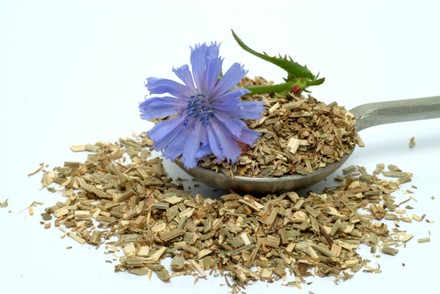 500 Dried flowers Stock Pictures, Editorial Images and Stock Photos ...