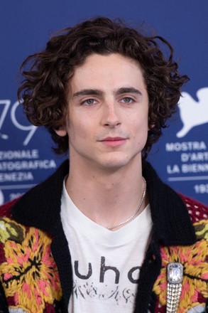 Timothee Chalamet Attending Bones All Photocall Editorial Stock Photo 