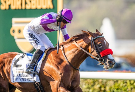 Horse Racing Pacific Classic Day, Del Mar, USA - 03 Sep 2022 Stock ...