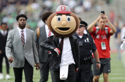 Ohio State Buckeyes Mascot Brutus Buckeye Editorial Stock Photo - Stock ...