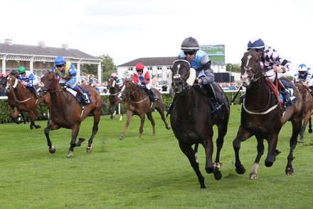 Temple Bruer 13 Ridden By Taylor Editorial Stock Photo - Stock Image ...