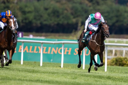 Imágenes De 2022 Longines Irish Champions Weekend, Leopardstown ...